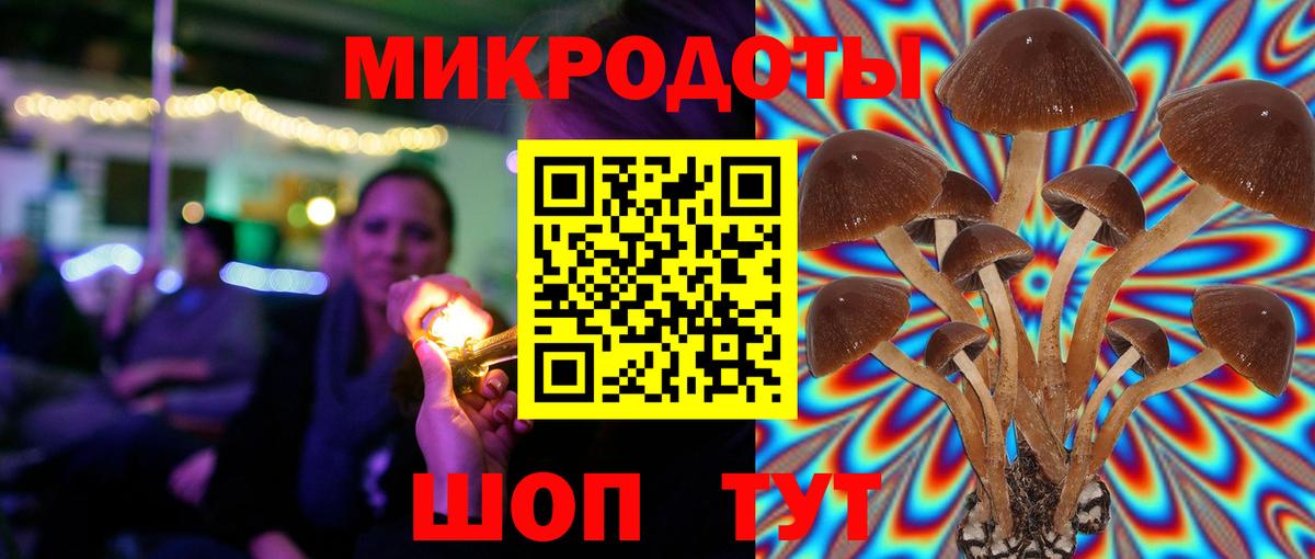 Псилоцибиновые грибы мицелий Феодосия
